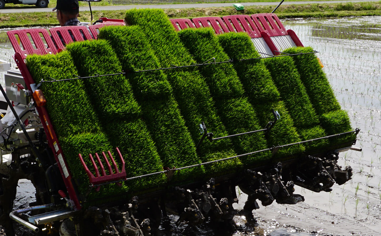 写真：苗を積んだ田植機