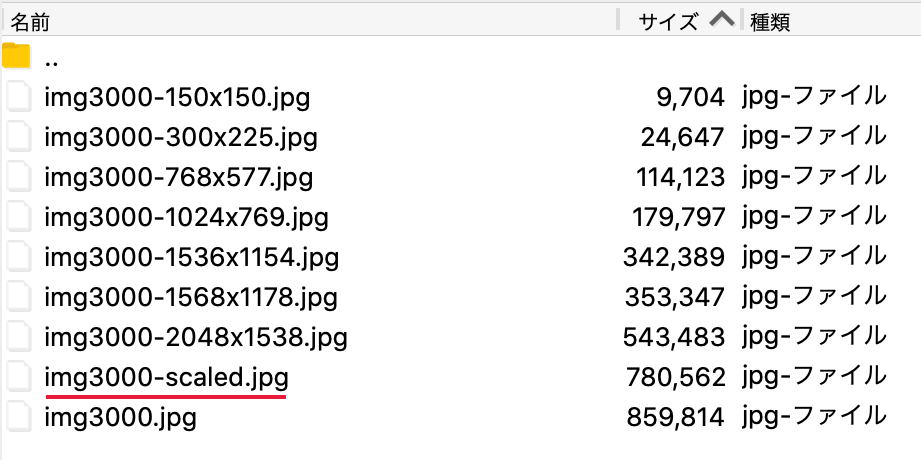 3000px以上のjpgファイルをアップロードした場合に自動生成されるファイル