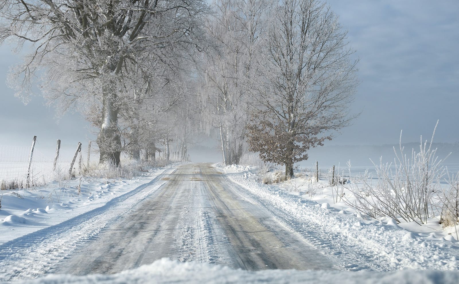 写真：雪道