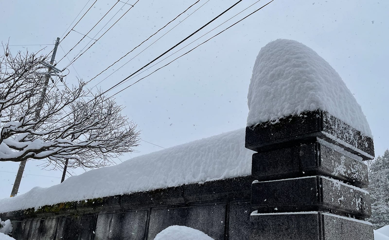 写真：塀に降り積もった雪