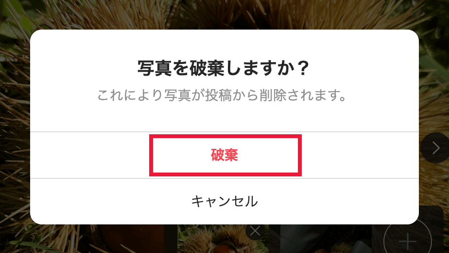 パソコンでインスタグラムに投稿する設定画面07