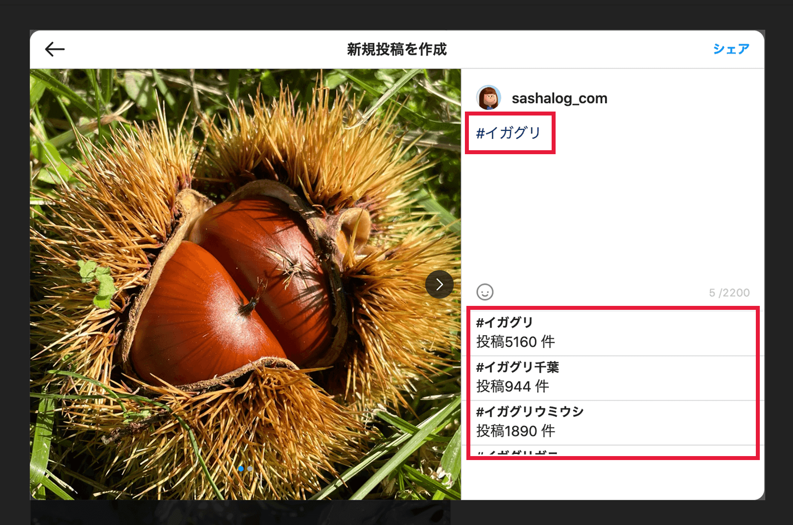 パソコンでインスタグラムに投稿する設定画面10