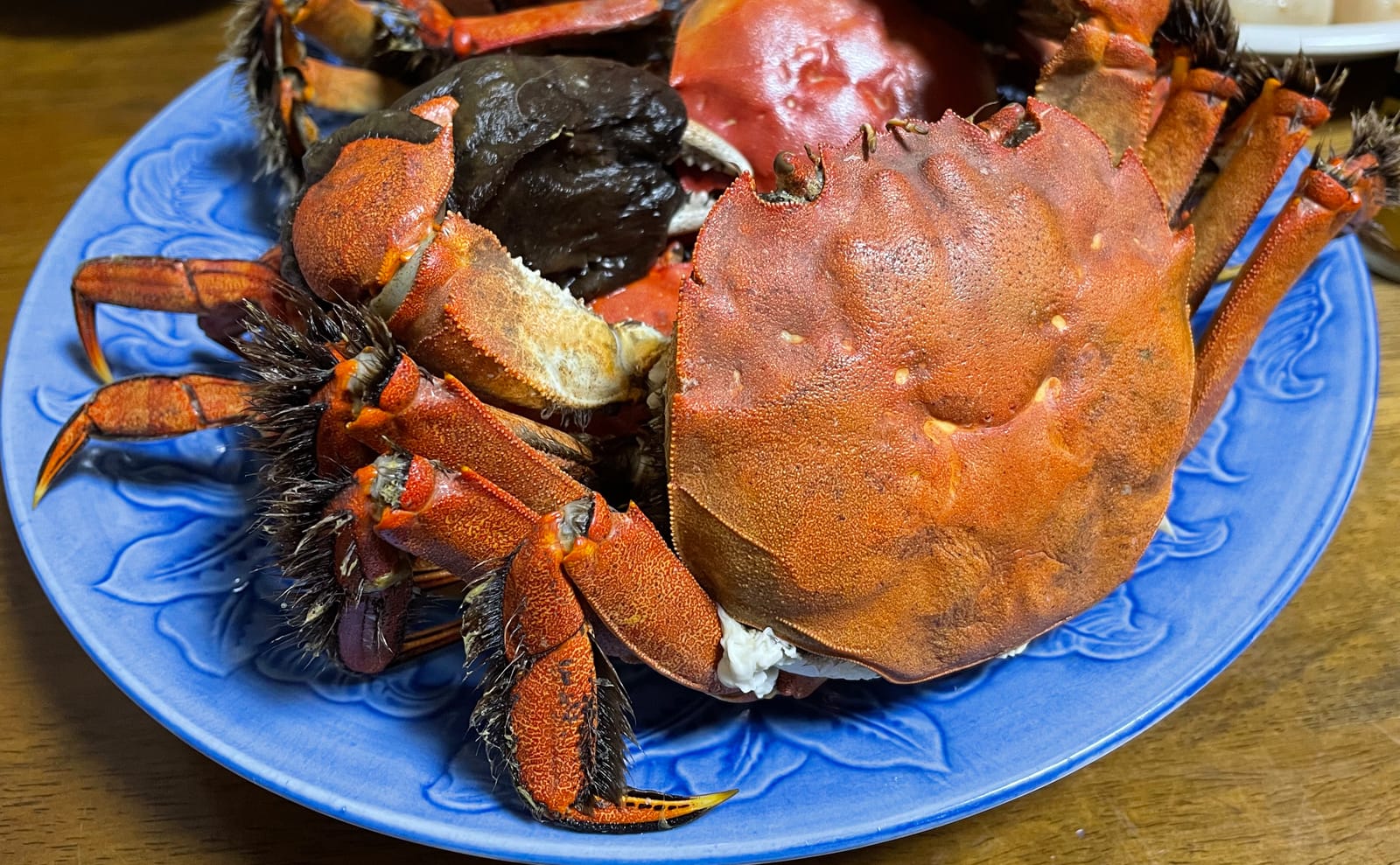 写真：茹でられたモクズガニ