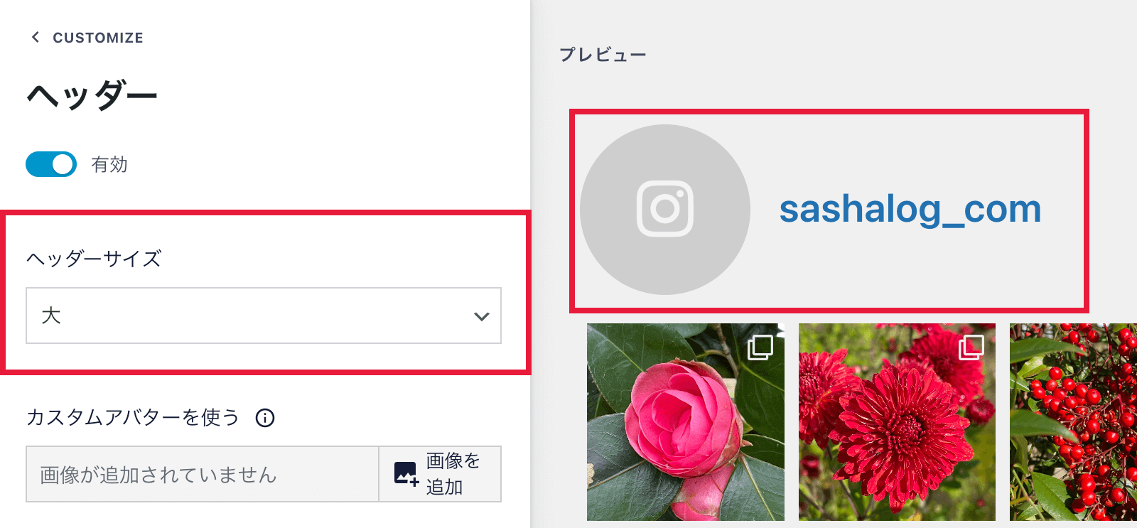 Smash Balloon Social Photo Feedのヘッダーのカスタマイズ画面01