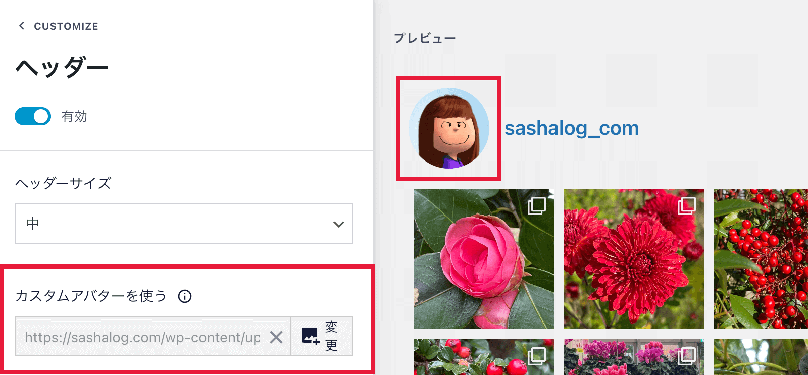 Smash Balloon Social Photo Feedのヘッダーのカスタマイズ画面02