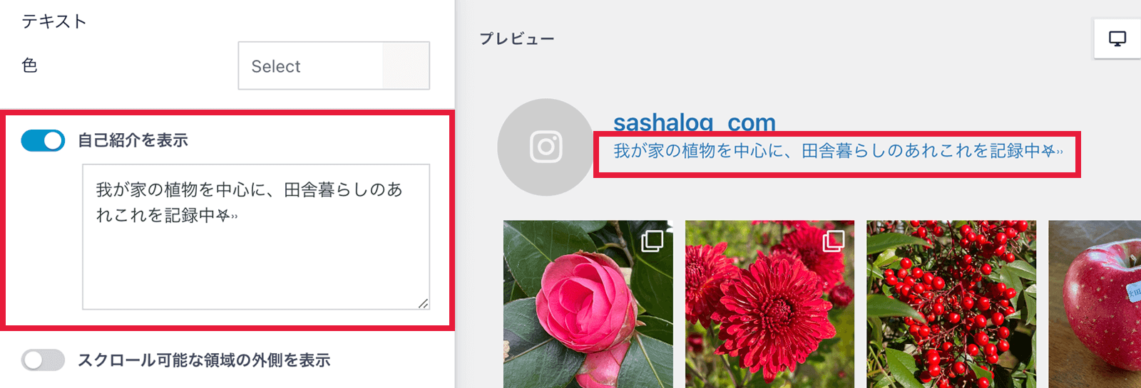 Smash Balloon Social Photo Feedのヘッダーのカスタマイズ画面04