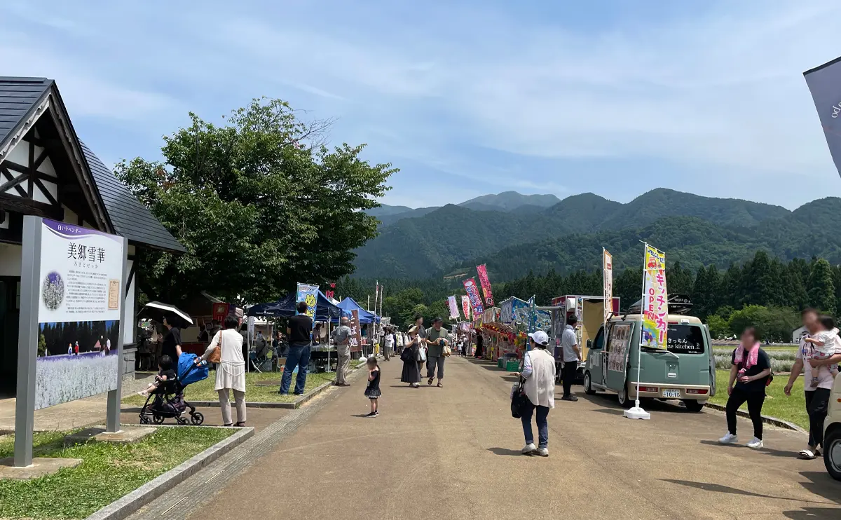 写真：美郷町ラベンダー園内