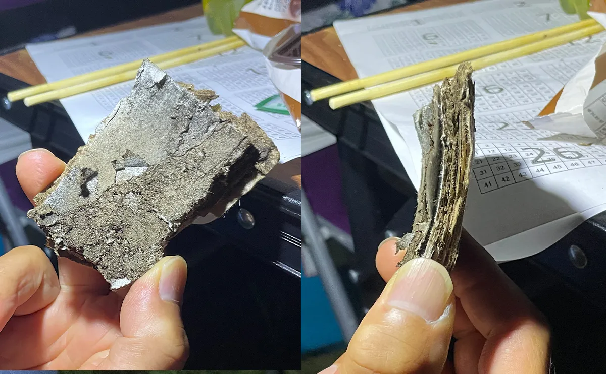 写真：花火の燃えカス