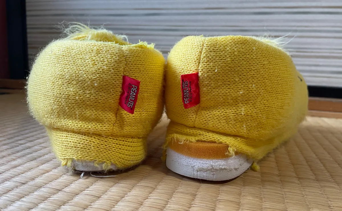 写真：壊れたルームシューズ