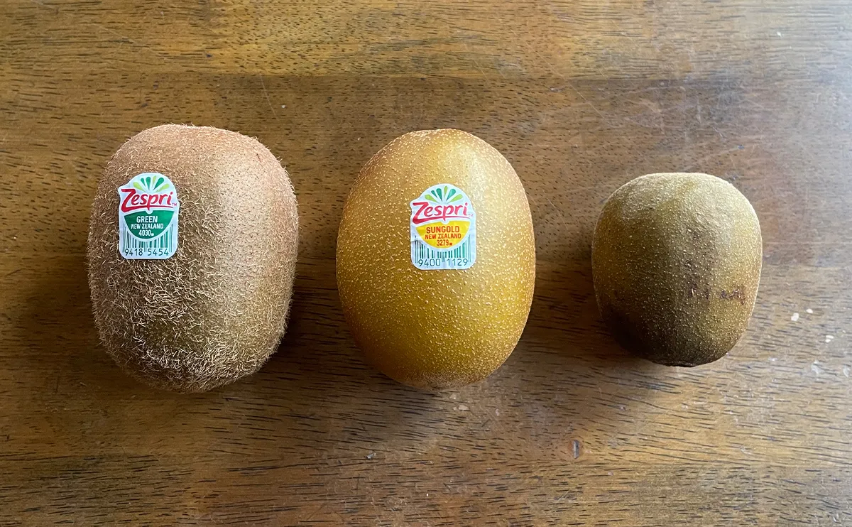 写真：キウイ（左：ゼスプリ・グリーン、中央：ゼスプリ・サンゴールド、右：レインボーレッド）