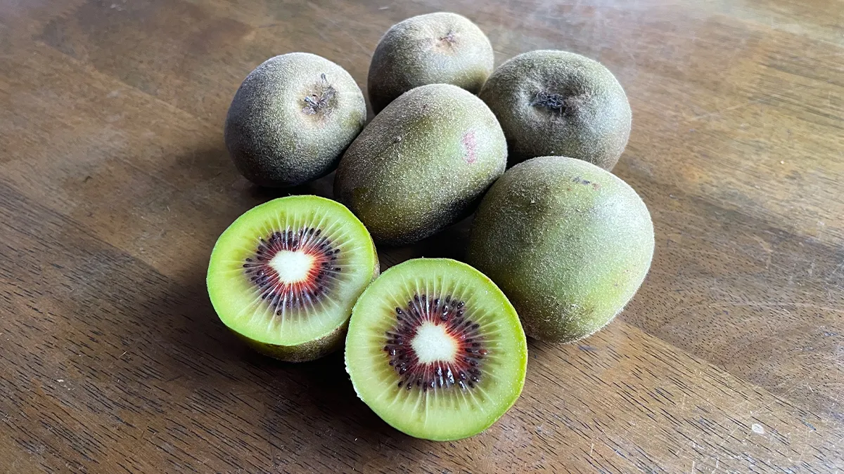 写真：レインボーレッド（キウイ）