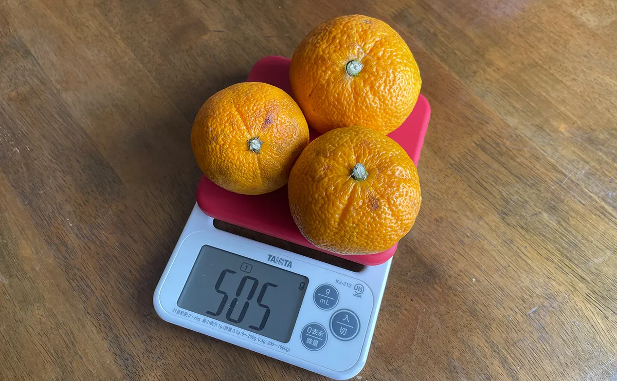 写真：キッチンスケールにのせられたジャバラ