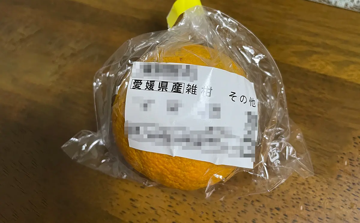 写真：愛媛県産のジャバラ