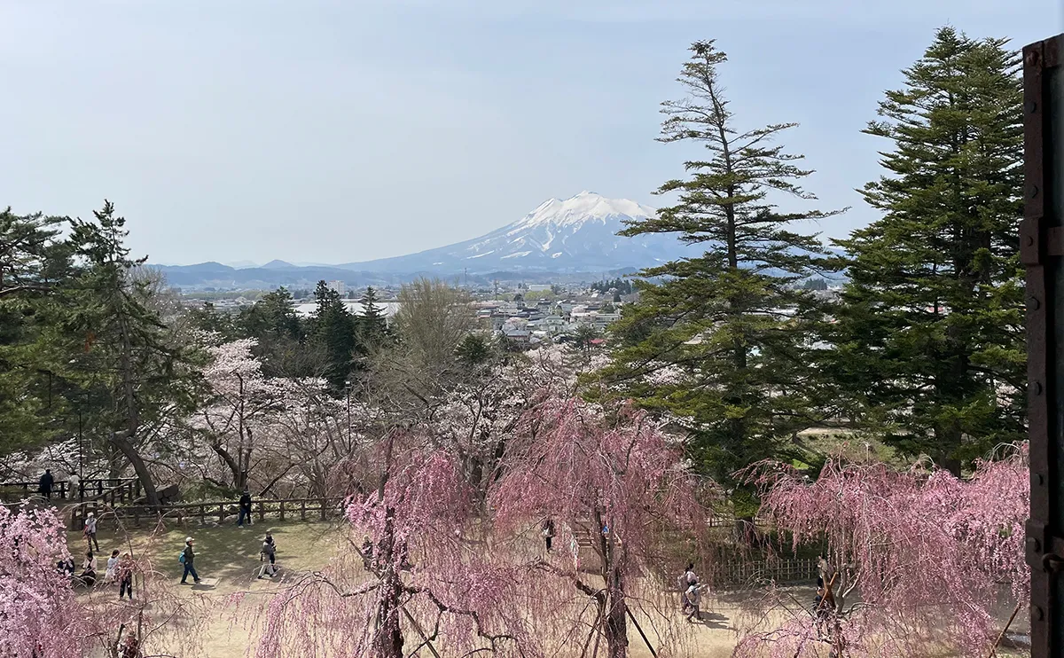 写真：弘前城本丸の天守から見える岩木山（弘前さくらまつり）