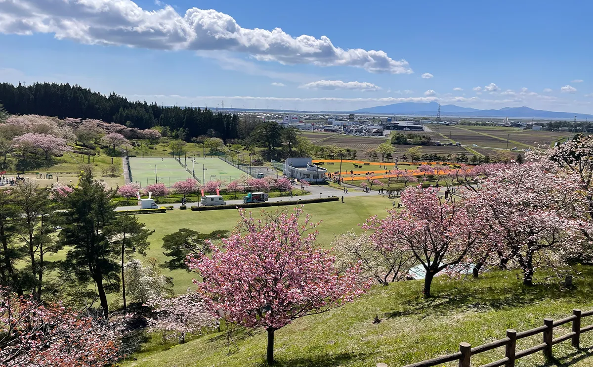 写真:展望台から見た日本国花苑
