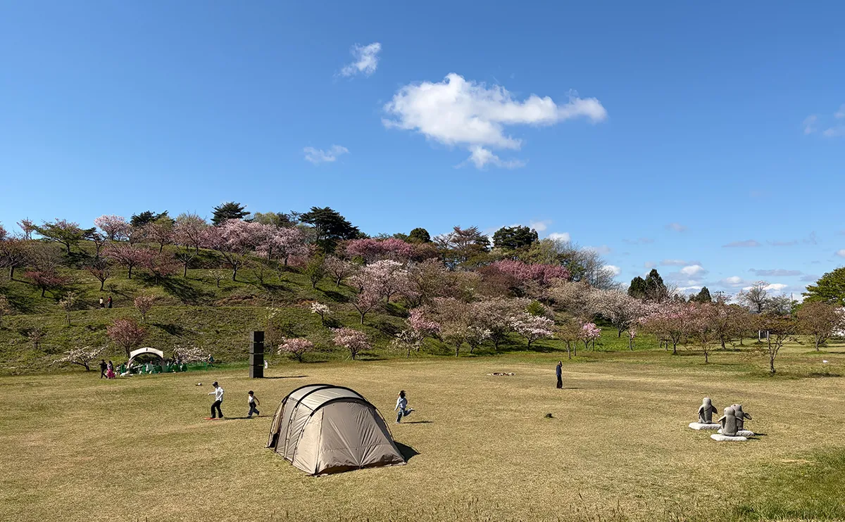 写真：キャンプ場（日本国花苑）
