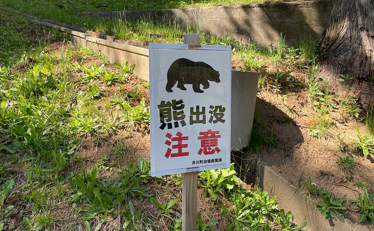 写真：「熊出没注意」の立て札