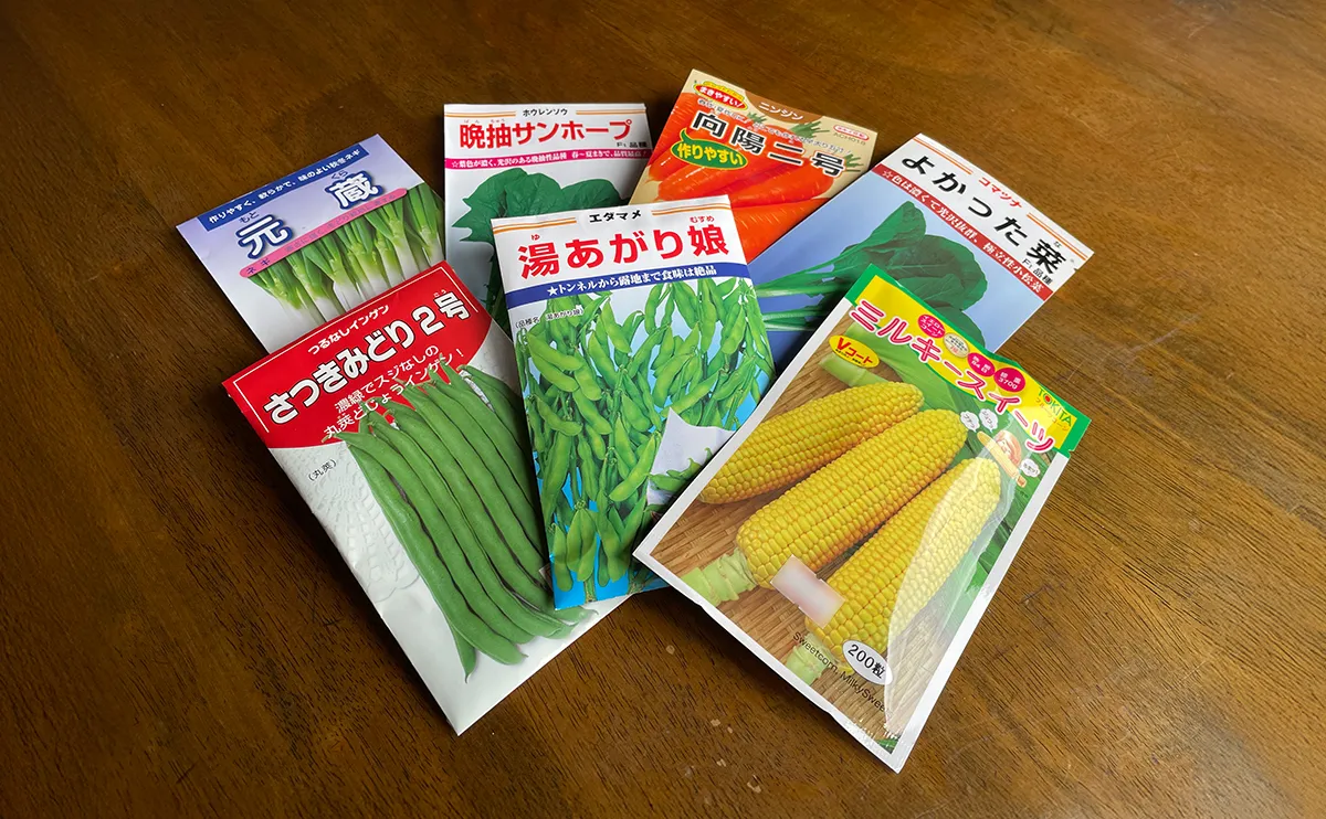 写真:野菜の種
